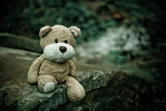 Parental Alienation